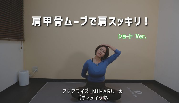 <br />
<b>Notice</b>:  Undefined index: alt in <b>/home/aquarise-diet/www/cmsn/wp-content/themes/aqualize/templates/pages/movie/archive.php</b> on line <b>104</b><br />
